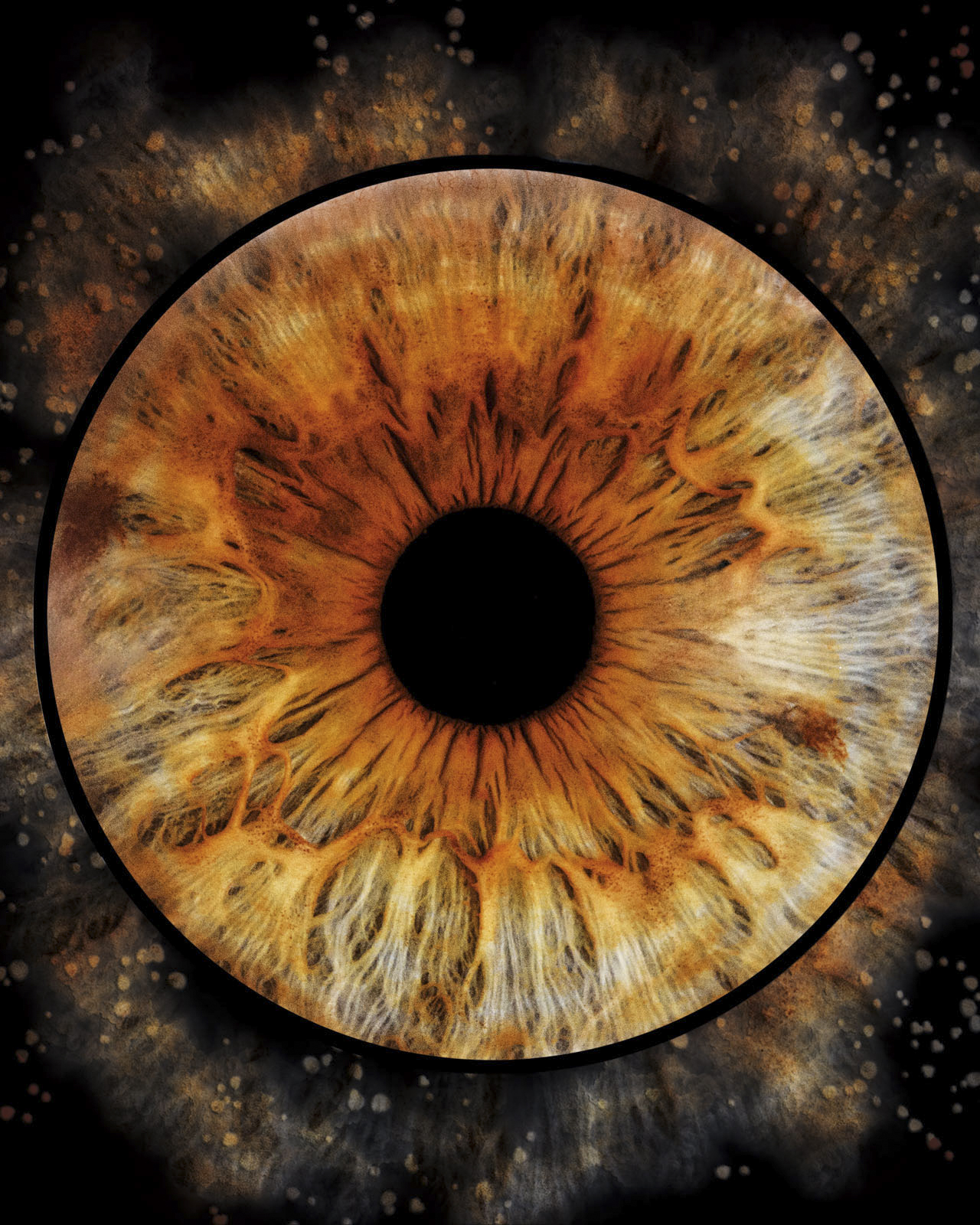 Photographie d'Iris Oise
