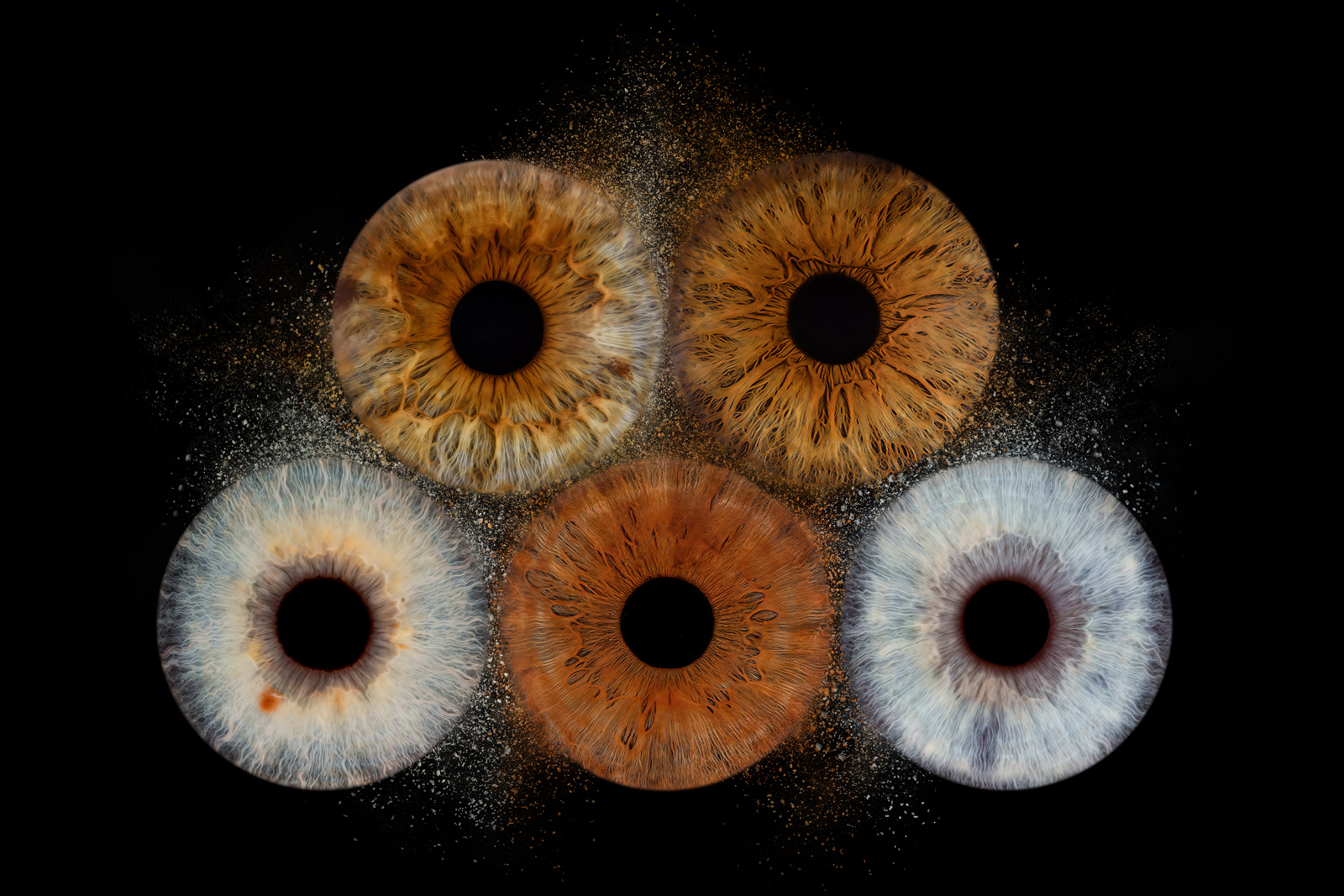 Derbaise-Photographie-Iris