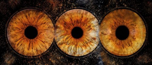 Iris 30x70