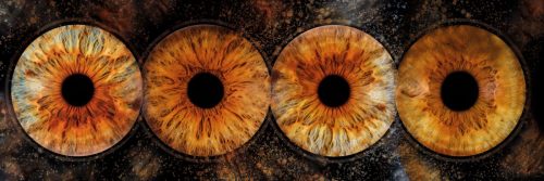 Iris 30x90