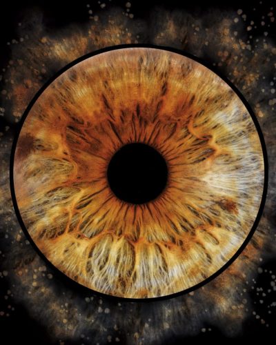 Photographie d'Iris Oise