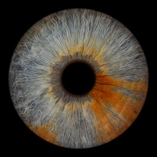 Studio Iris Photo oise