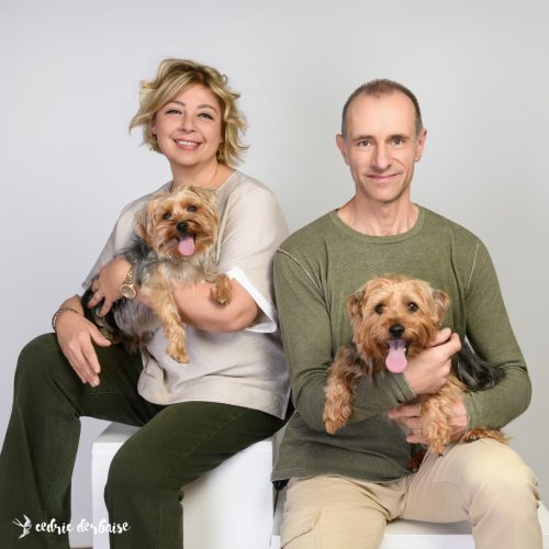 Photo en studio chien