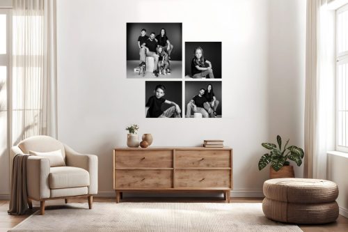 Tableaux photo studio photo Noailles