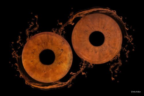 Studio-photo-oise-Iris