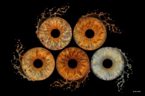 Photographe Iris Oise